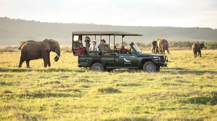Travellers watching an elephant from an open safari jeep